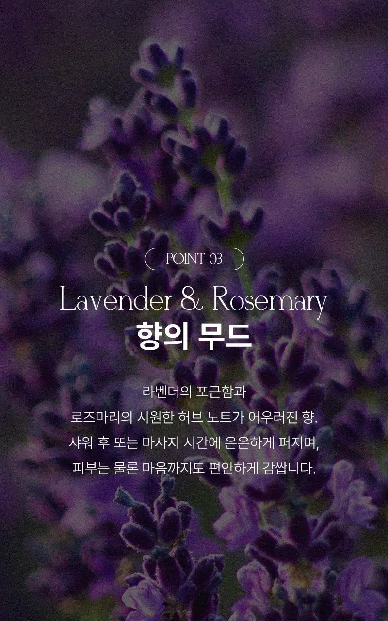 [끈적임 없는 보습오일] 탄 라벤더&로즈마리 배스&마사지 오일 295ml 상세페이지 12